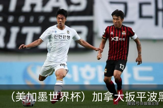 （美加墨世界杯）加拿大扳平波黑 获队史世界杯首分